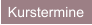 Kurstermine
